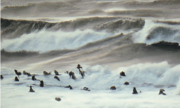 Quiet Space — #244 — Flood Gates